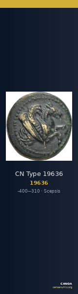 CN Type 19636 — CANOA