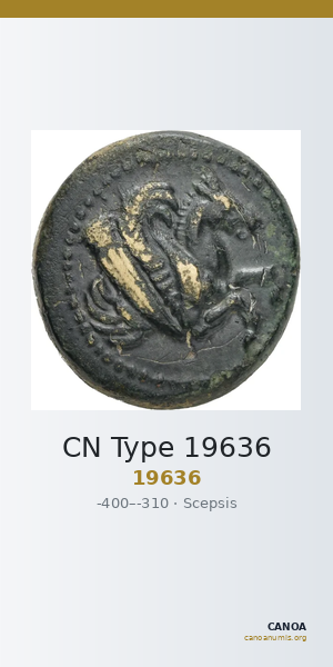 CN Type 19636 — CANOA