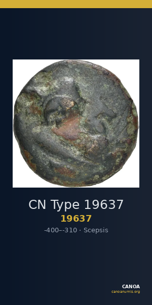 CN Type 19637 — CANOA