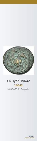 CN Type 19642 — CANOA