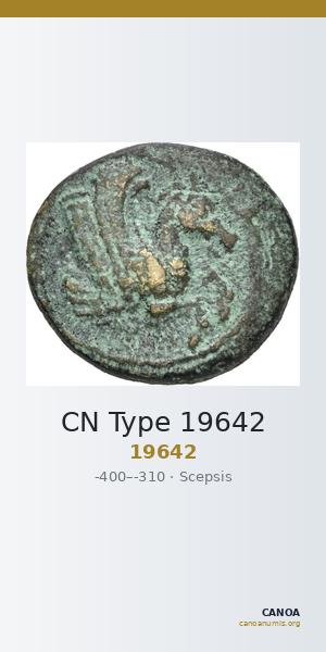 CN Type 19642 — CANOA
