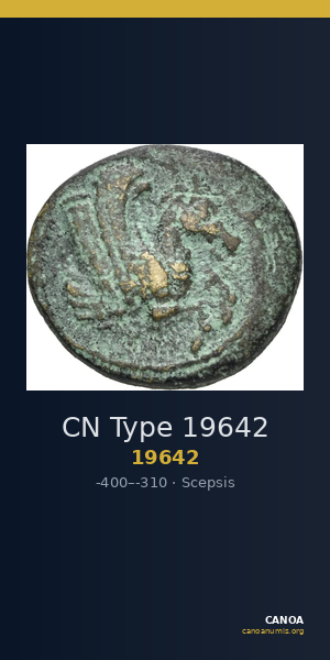 CN Type 19642 — CANOA