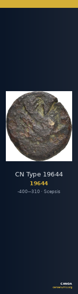 CN Type 19644 — CANOA