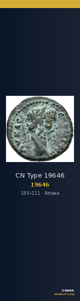 CN Type 19646 — CANOA