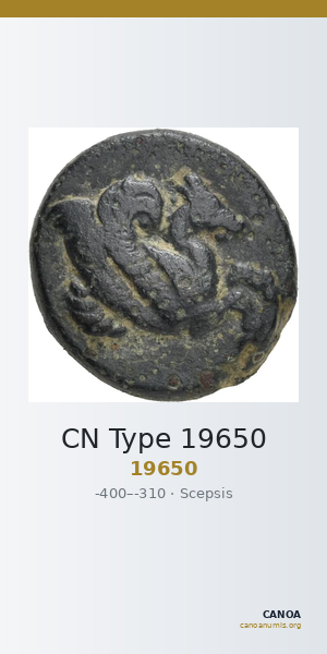 CN Type 19650 — CANOA