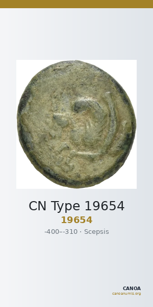 CN Type 19654 — CANOA