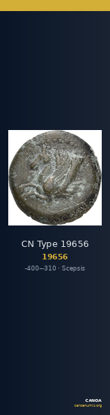 CN Type 19656 — CANOA
