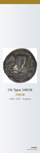 CN Type 19658 — CANOA