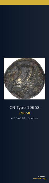 CN Type 19658 — CANOA