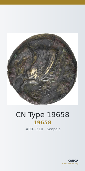 CN Type 19658 — CANOA