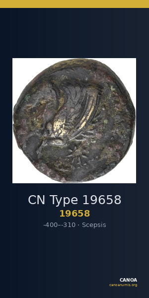 CN Type 19658 — CANOA