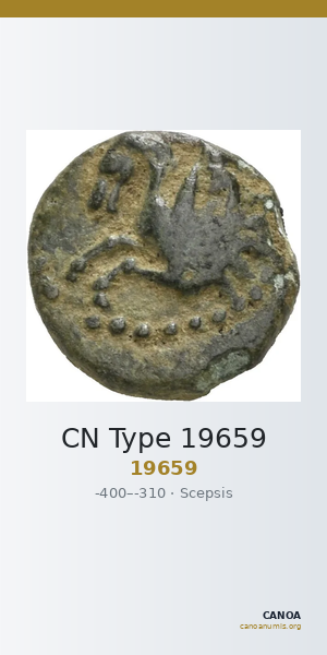 CN Type 19659 — CANOA