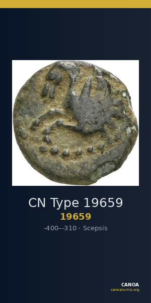 CN Type 19659 — CANOA