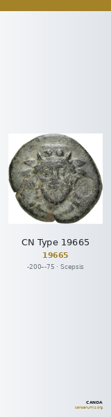 CN Type 19665 — CANOA