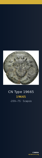 CN Type 19665 — CANOA