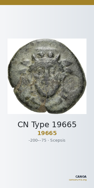 CN Type 19665 — CANOA