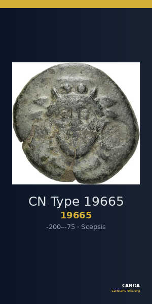 CN Type 19665 — CANOA