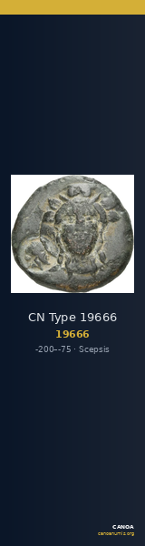 CN Type 19666 — CANOA