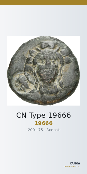 CN Type 19666 — CANOA