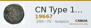 CN Type 19667 — CANOA