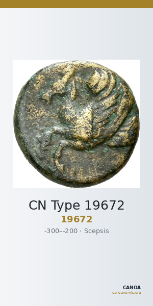 CN Type 19672 — CANOA