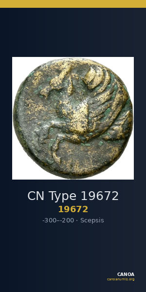 CN Type 19672 — CANOA