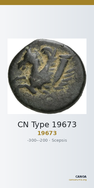 CN Type 19673 — CANOA