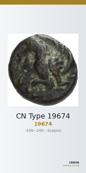 CN Type 19674 — CANOA