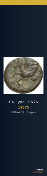 CN Type 19675 — CANOA