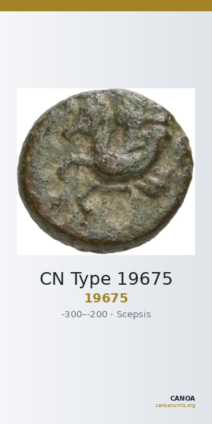 CN Type 19675 — CANOA