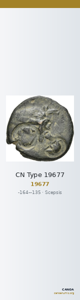 CN Type 19677 — CANOA