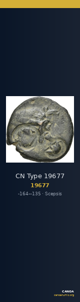 CN Type 19677 — CANOA