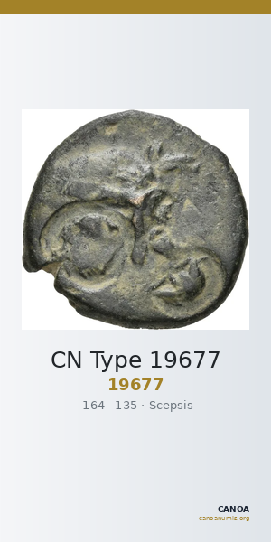 CN Type 19677 — CANOA