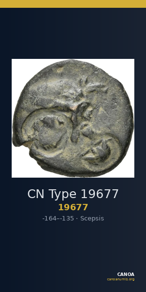 CN Type 19677 — CANOA