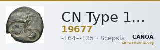 CN Type 19677 — CANOA