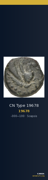 CN Type 19678 — CANOA