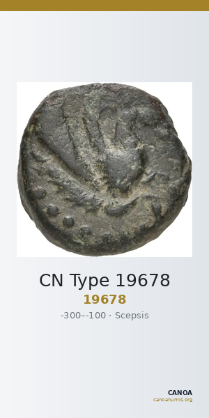 CN Type 19678 — CANOA