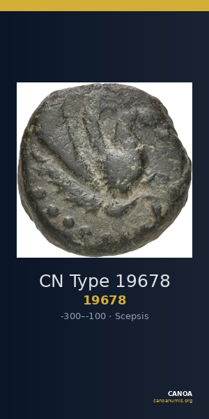 CN Type 19678 — CANOA