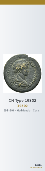 CN Type 19802 — CANOA