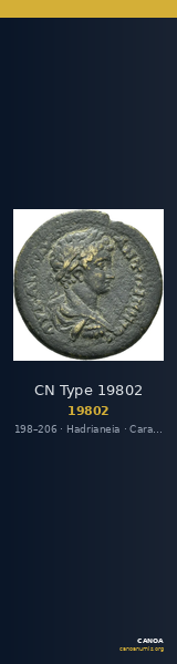 CN Type 19802 — CANOA