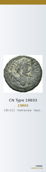 CN Type 19803 — CANOA