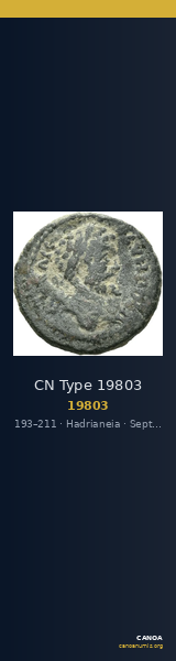 CN Type 19803 — CANOA