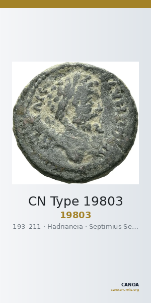 CN Type 19803 — CANOA