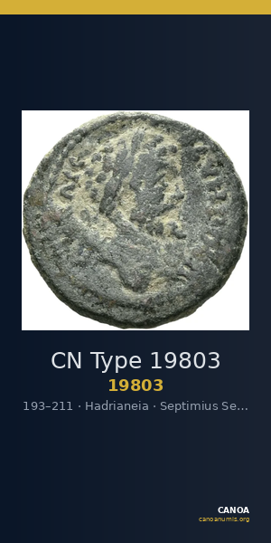 CN Type 19803 — CANOA