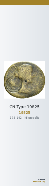 CN Type 19825 — CANOA