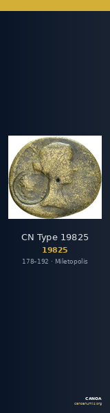 CN Type 19825 — CANOA