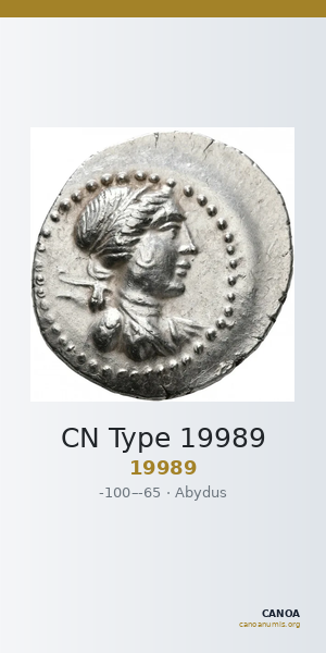 CN Type 19989 — CANOA