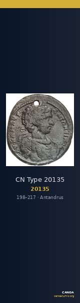 CN Type 20135 — CANOA