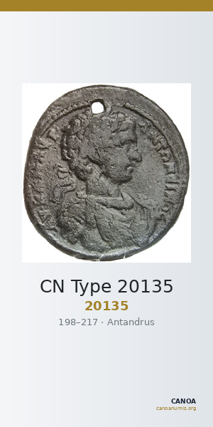 CN Type 20135 — CANOA