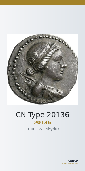 CN Type 20136 — CANOA